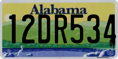 AL license plate 12DR534