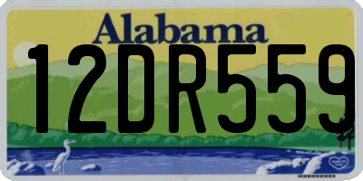 AL license plate 12DR559