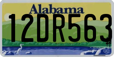 AL license plate 12DR563