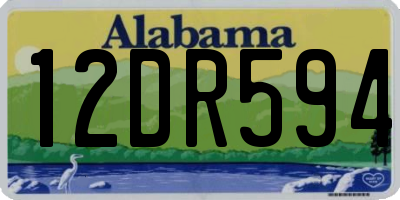 AL license plate 12DR594