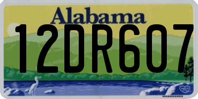 AL license plate 12DR607