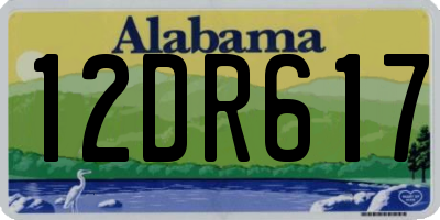 AL license plate 12DR617