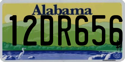 AL license plate 12DR656