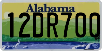 AL license plate 12DR700