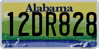 AL license plate 12DR828