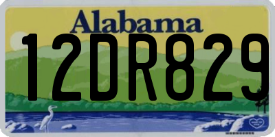 AL license plate 12DR829