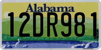AL license plate 12DR981