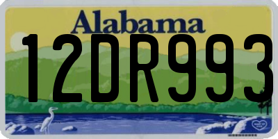 AL license plate 12DR993