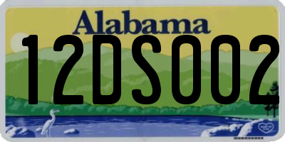 AL license plate 12DS002