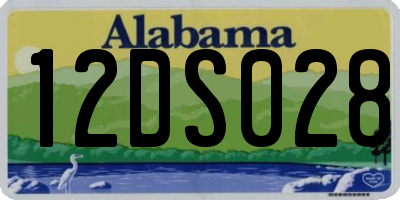 AL license plate 12DS028
