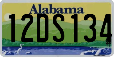 AL license plate 12DS134