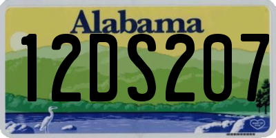 AL license plate 12DS207