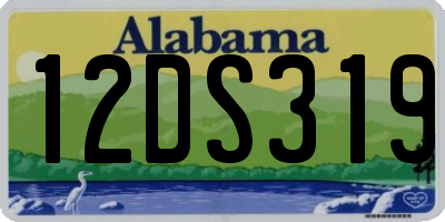 AL license plate 12DS319