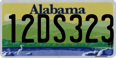 AL license plate 12DS323