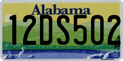 AL license plate 12DS502