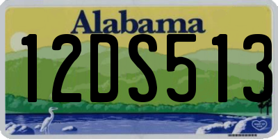 AL license plate 12DS513