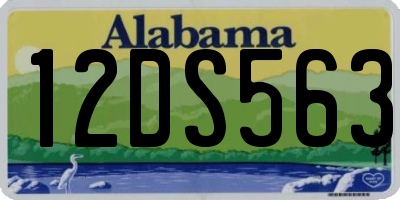 AL license plate 12DS563