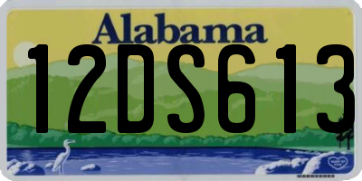 AL license plate 12DS613