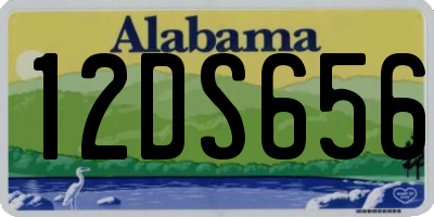 AL license plate 12DS656