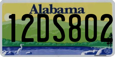 AL license plate 12DS802