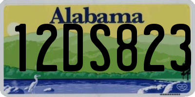 AL license plate 12DS823
