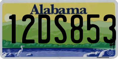AL license plate 12DS853