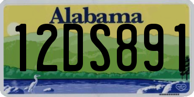 AL license plate 12DS891
