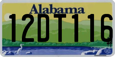 AL license plate 12DT116