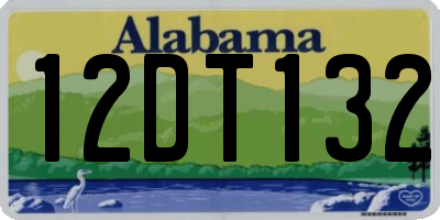 AL license plate 12DT132