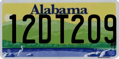 AL license plate 12DT209
