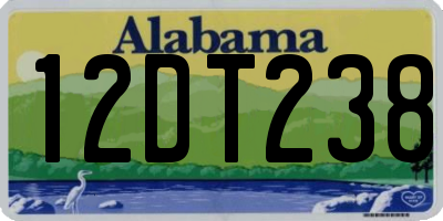 AL license plate 12DT238