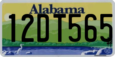 AL license plate 12DT565