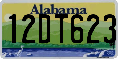 AL license plate 12DT623
