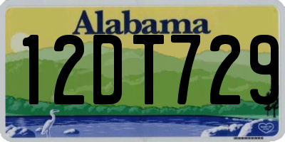 AL license plate 12DT729