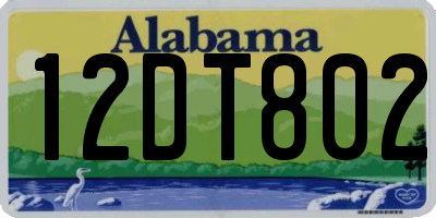 AL license plate 12DT802