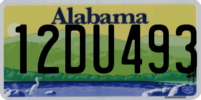 AL license plate 12DU493