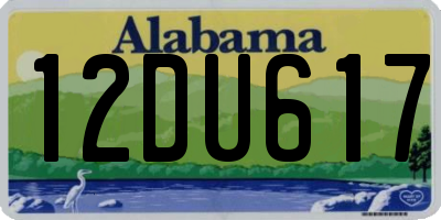 AL license plate 12DU617