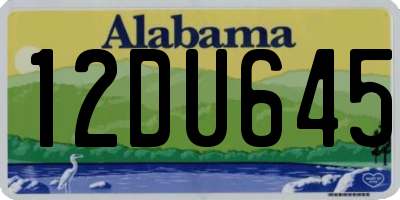 AL license plate 12DU645