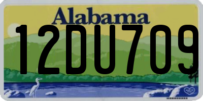 AL license plate 12DU709
