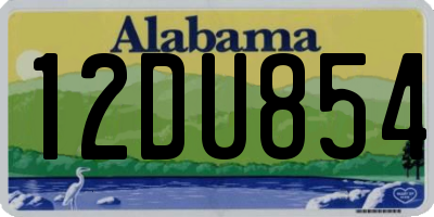 AL license plate 12DU854