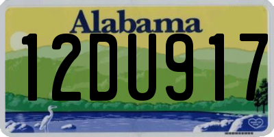 AL license plate 12DU917