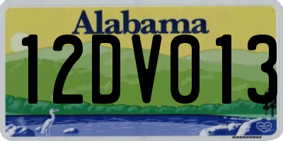 AL license plate 12DV013
