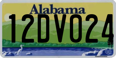 AL license plate 12DV024