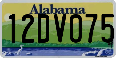 AL license plate 12DV075