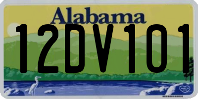 AL license plate 12DV101