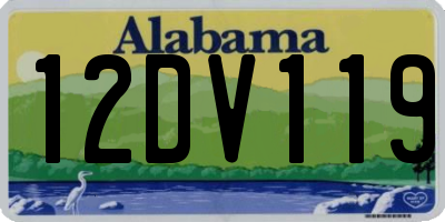 AL license plate 12DV119