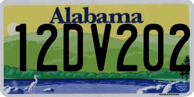 AL license plate 12DV202