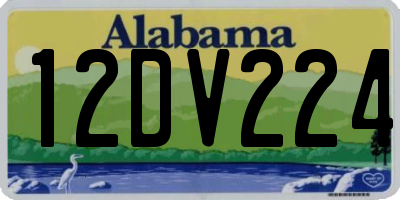 AL license plate 12DV224
