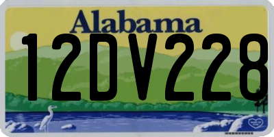 AL license plate 12DV228