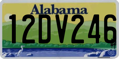 AL license plate 12DV246